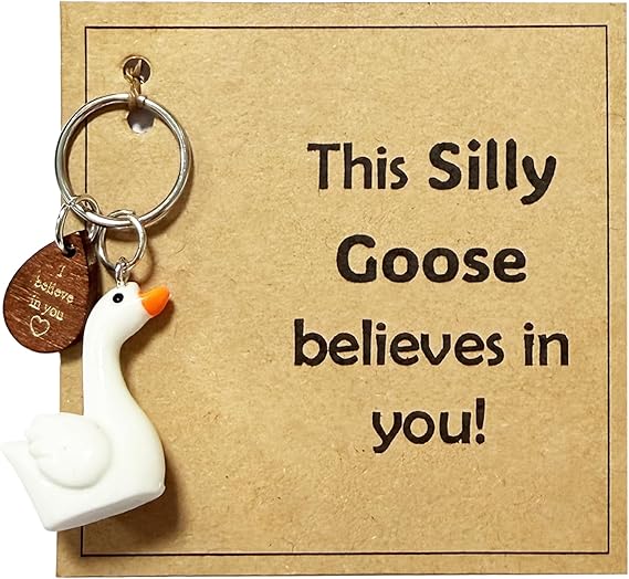 Motivational Silly Goose Desk Decor