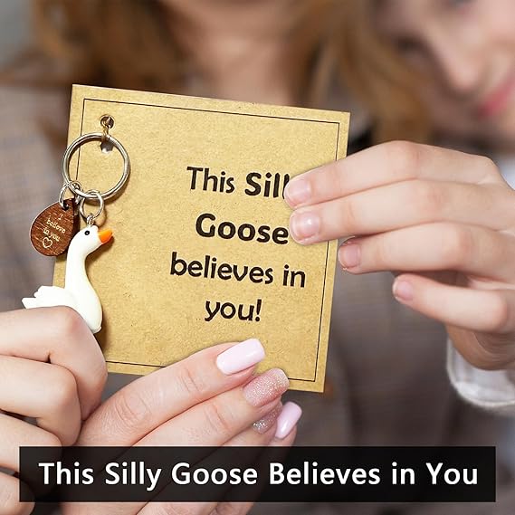 Motivational Silly Goose Desk Decor